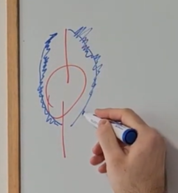 krepitev trebušnih mišic bolečine v križu stiskanje na obeh straneh sklepa