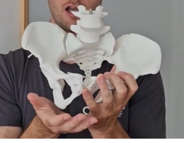 zunanja rotacija kolka ženska medenica