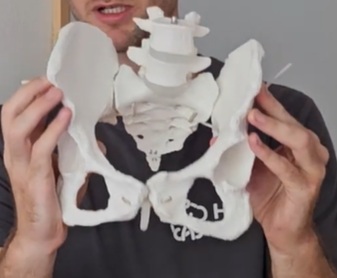 notranja rotacija kolka ženska medenica