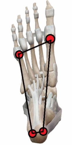 stopalo štiri točke pritiska tripod štirikotnik osnova